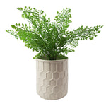 16cm White Honeycomb Ceramic Planter