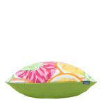 Fruit Print Set Of 2 Outdoor Cushion