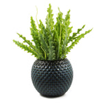 Leaf Ceramic Plant Pot Planter Blue Crisscross 14 X 14 X 12.5cm