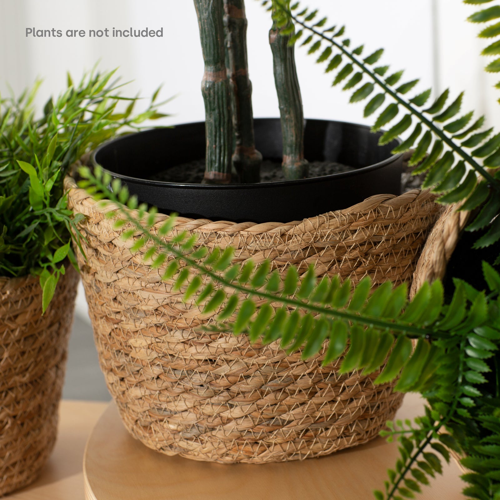 22cm Large Seagrass Plant Pots Set Of 3