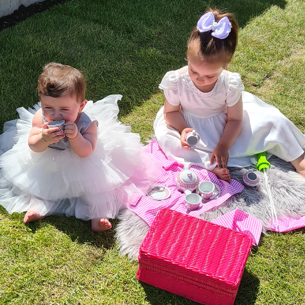 Picnic Tea Set, Includes Wicker-effect Hamper