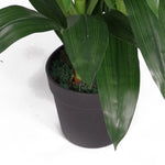 Artificial 100cm Cymbidium Orchid Plant - Extra Large - Purple Flowers